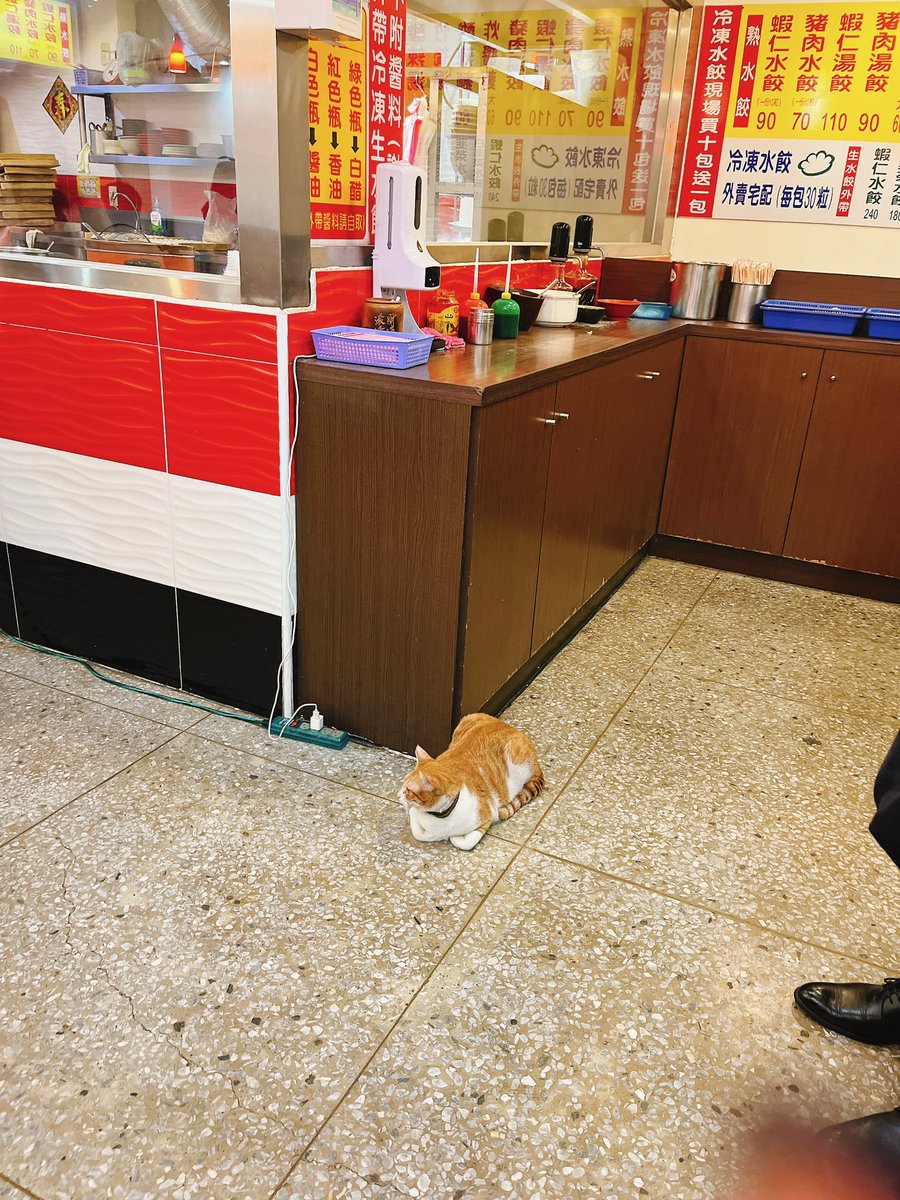 初めての台北旅行✨
日本人いっぱいだし、割と日本語通じるし、あんまり海外に行った感じがしなかった😂