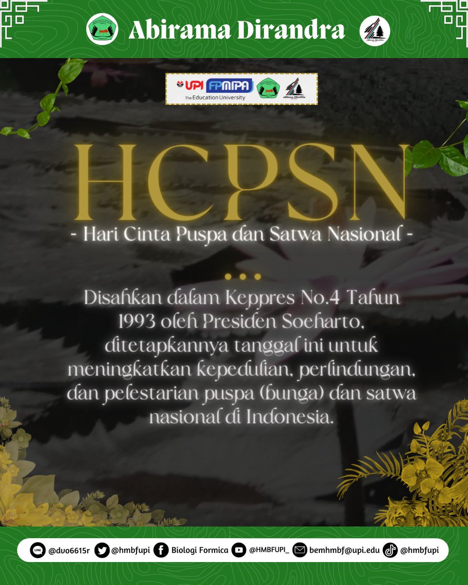 HMBF UPI tweet media