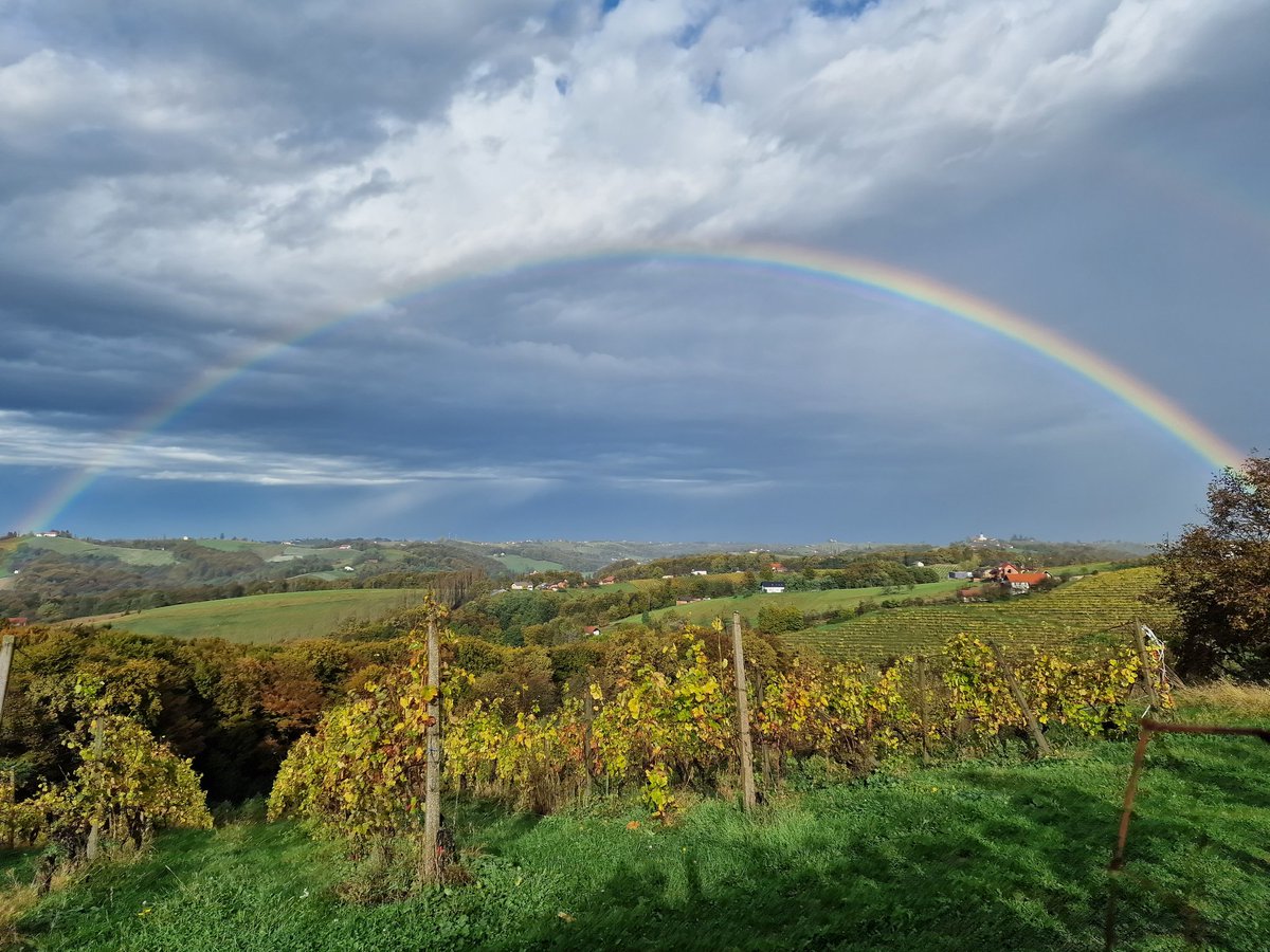 tjasakos's tweet photo. Tako je mavrica objela Jeruzalemske gorice. Bilo je čarobno.
Dobrodošli pri nas, kjer je razgled izjemen!

#JeruzalemSlovenija #welcome #ifeelslovenia #visitprlekija https://t.co/xHsYzXpHz0