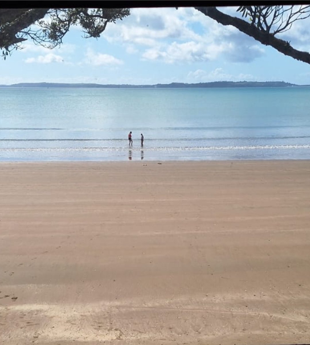 Nick Schanschieff tweet media