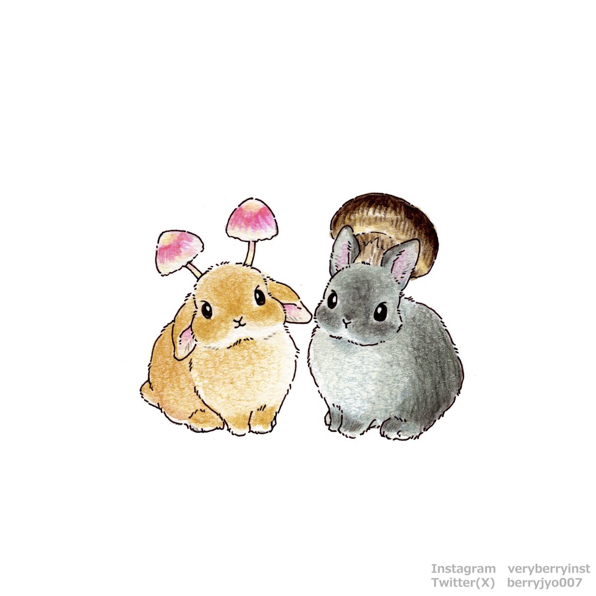 berryjyo007's tweet image. コウバイタケうさぎさんにする？

マツタケうさぎさんにする？