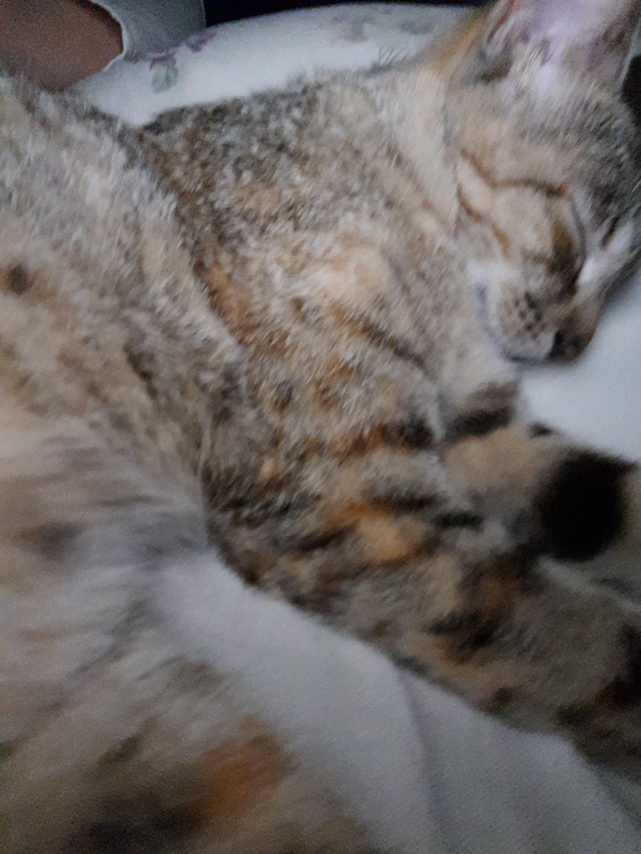 hi damara ko, i need you pls.

hindi ako mapapagod na sabihin na miss na kita kasi mas nakakapagod maging malungkot dahil hindi kita nakikita.

you have my heart, and you will always have it. 

see you soon sana bebe ko, i love you