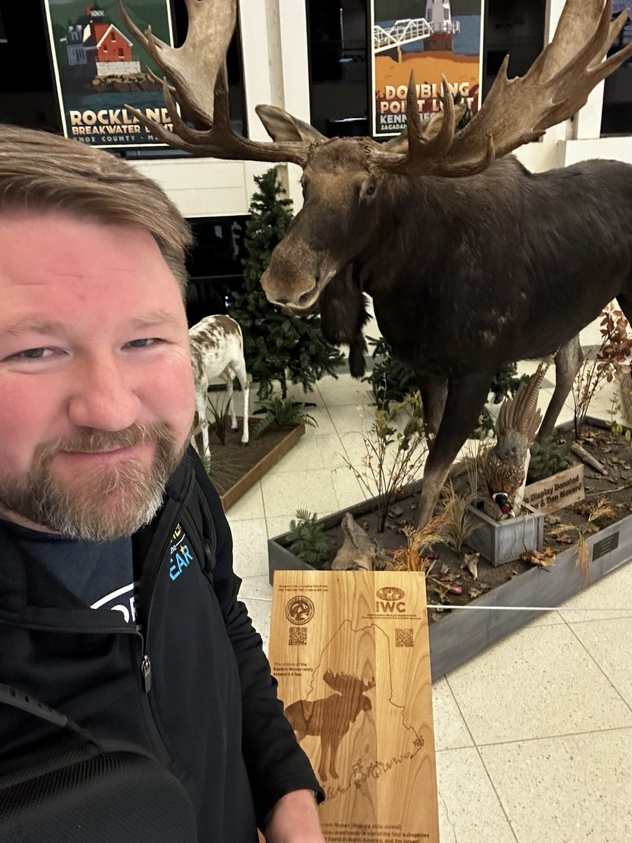 MrWillPE's tweet photo. Moose and Squirrel! Definitely not in California anymore. Ready for a fantastic @maineahperd conference. #physed #maineahperd #rockyandbullwinkle https://t.co/nGagfI0GtJ