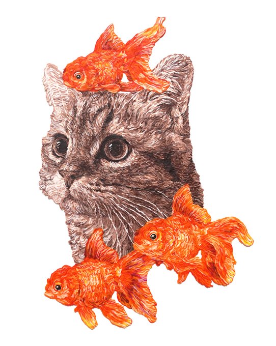「猫 魚」のTwitter画像/イラスト(新着)｜4ページ目