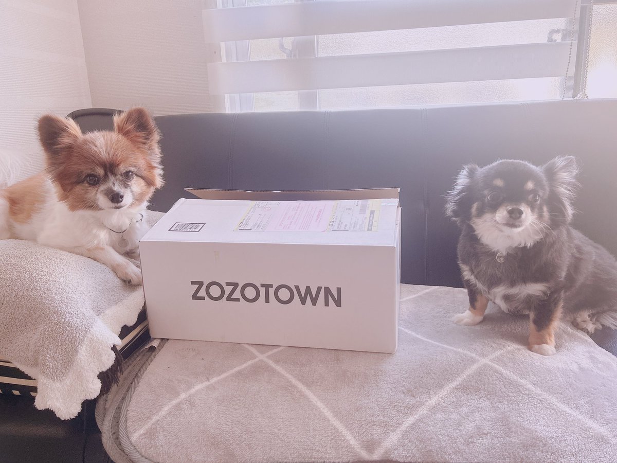 Riboharo's tweet photo. #ZOZOWEEK箱CP https://t.co/cqUcofgkYV