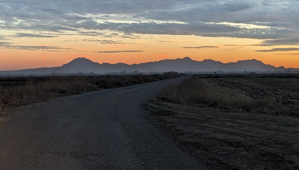 Tracy Schohr tweet media