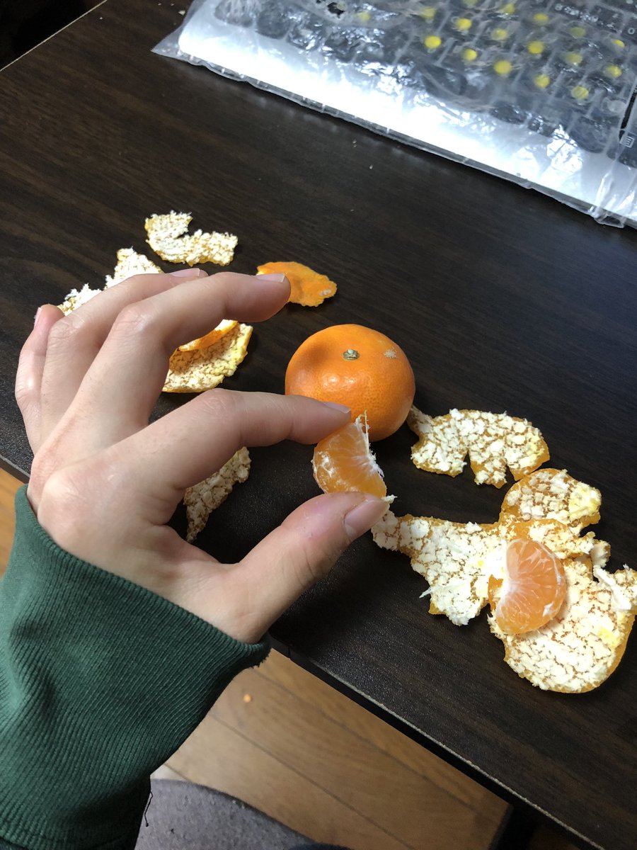 ReiU30's tweet photo. In Japan, it is common to eat small mandarin oranges with the peal on like this
Is it common in your country?
#japaneseculture 
#Wenzhoumandarinorange https://t.co/xTnVV41v9b