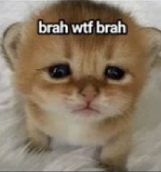 ⠀