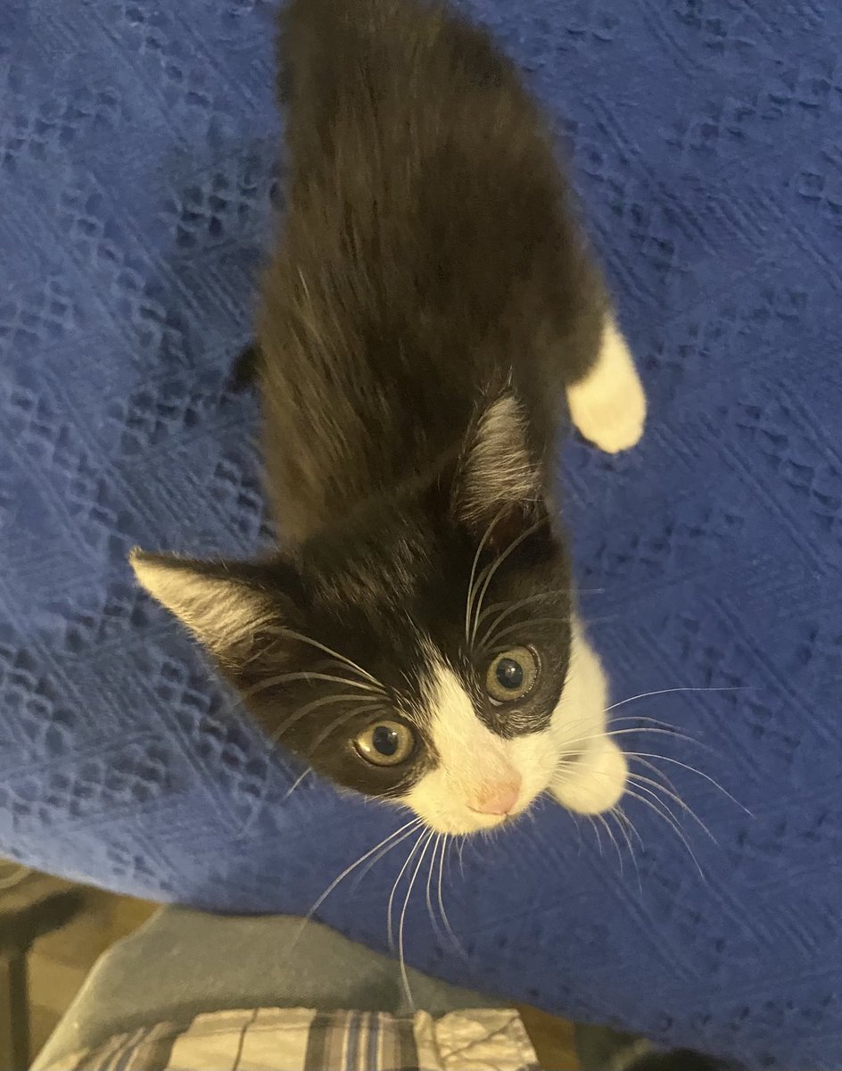 Shannon Minter tweet media