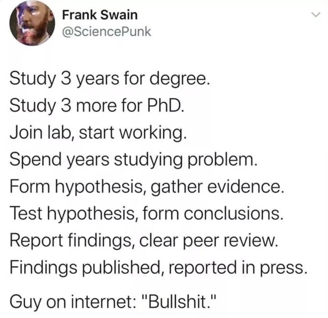 star 💫 tweet media