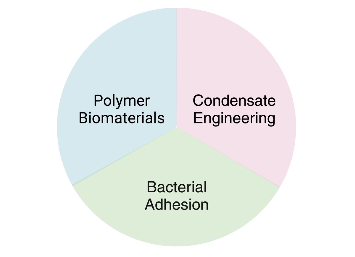 Thrilled to be a part of #AIChE2023, I will present my Future Lab vision at the Meet the Faculty Candidates Poster Session #292, Nov 5, 2023. Please come say hi! New polymer chemistry for Condensate engineering, Bacterial adhesion, and Novel Polymer Therapeutics.