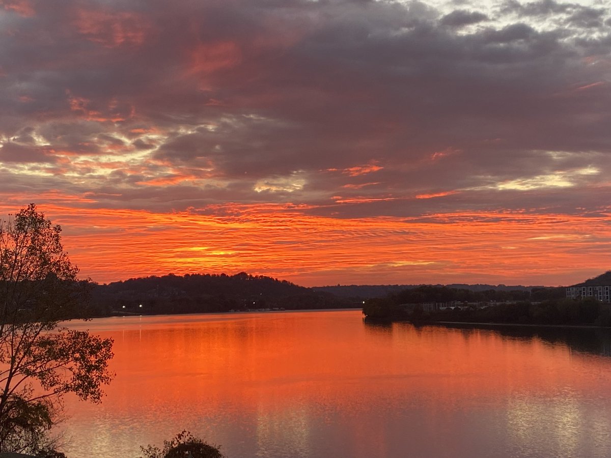 Anne Barry Flottman tweet media