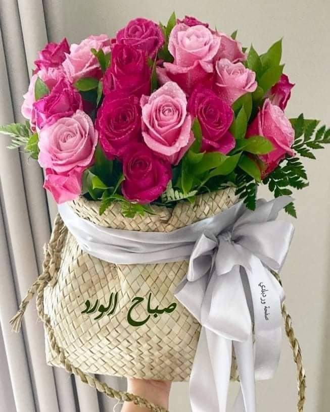 abnalshra12's tweet photo. صباح الخير  لمن يذكروننا بالخير 🤗
يا رب بالخير اذكرهم وبالحب ارعاهم♥️
 واملأ قلوبهم نورا وامسح ذنوبهم🌷
 وكفكف دموعهم وبدل خطاياهم  حسنات 🍃
وسدّد خطاهم وحقّق مقاصدهم🕊
 وارفع اللهم مراتبهم وفي جنة الفردوس اللهم اجمعنا بهم🌹
💐 صبـــاح الــــــورد🌹🍃صباحكم توفيق بأذن الله🍃🌹 https://t.co/aBMPj5YNNm