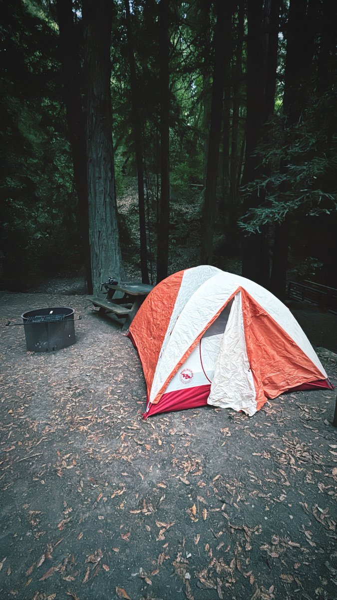 Jace Sparks tweet media