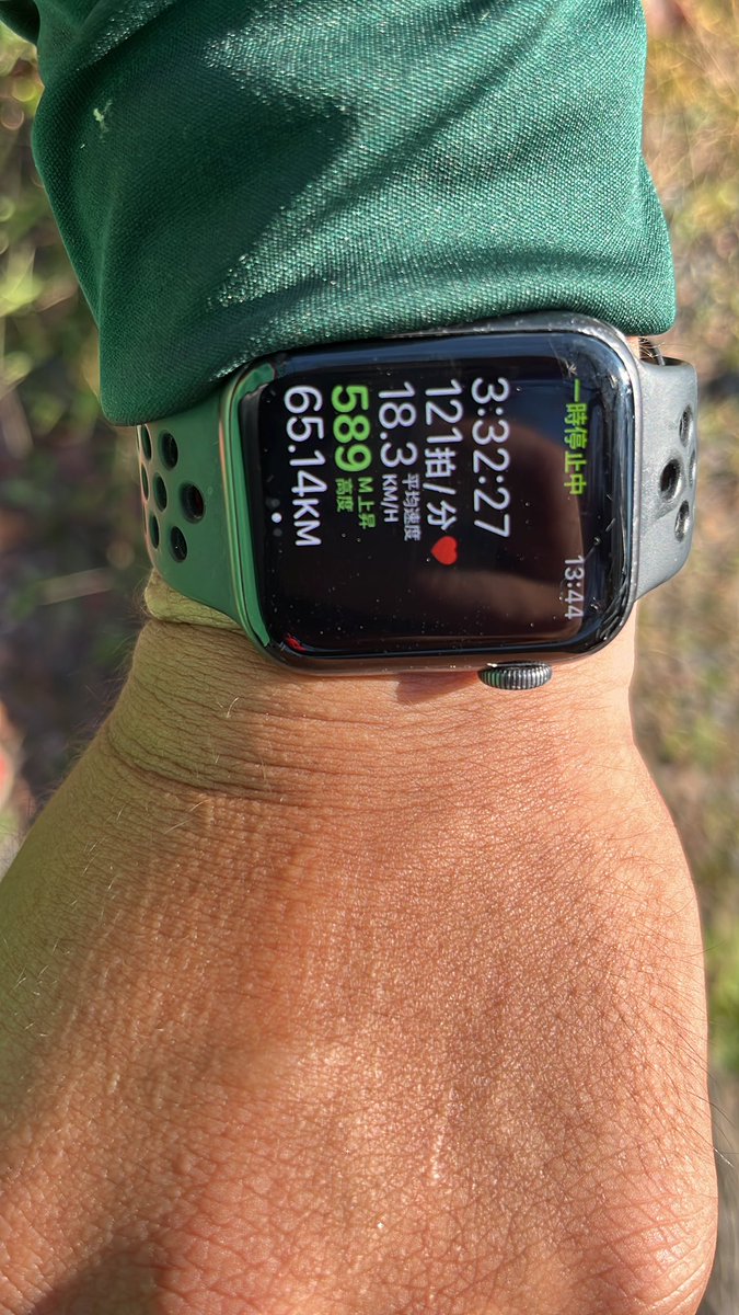 第4エイド
坂しんどいわ
食べ物は写真撮るの忘れてた
猪鍋だった