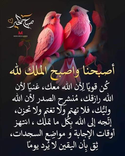 abnalshra12's tweet photo. صباح الخير https://t.co/K8xm6HWEkt
