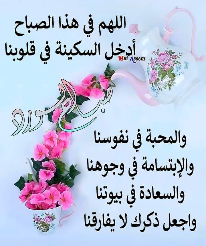 abnalshra12's tweet photo. @toooooooo121314 https://t.co/TLwOjaesEZ
