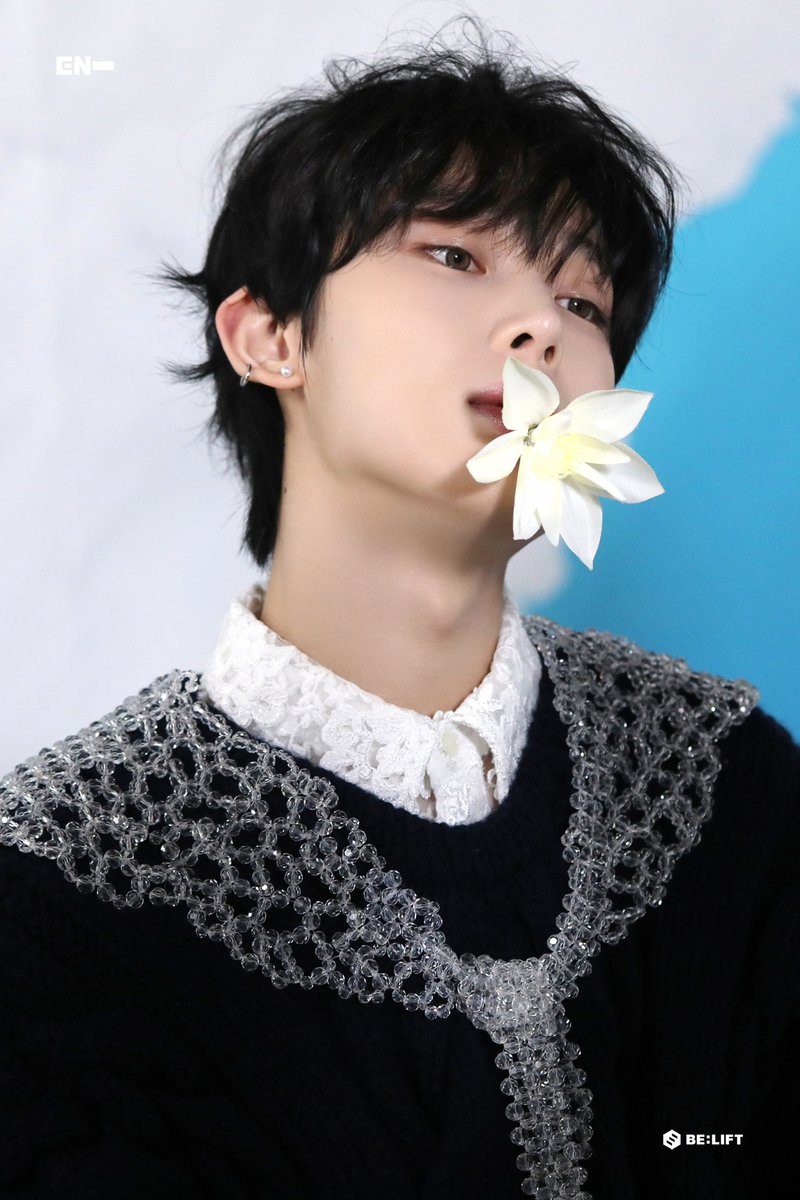 🦊🌻 | fan account tweet media