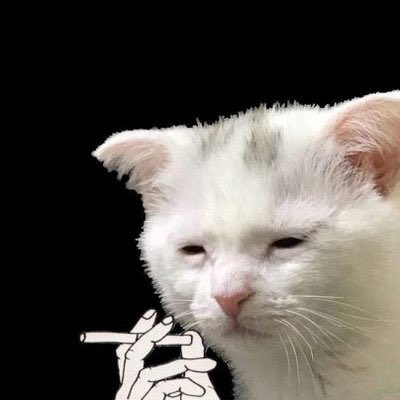 minimatitanum's tweet photo. How is she supposed to be a big scary merc when all of her enemies laugh at her accent? https://t.co/ufuVgycYER