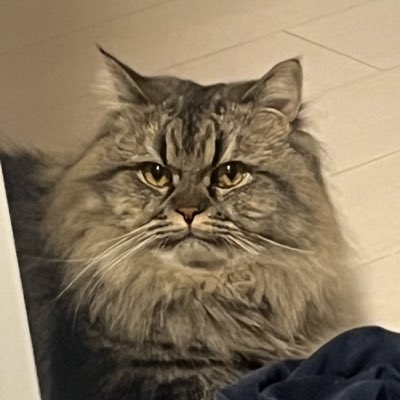 aiwest's tweet photo. #新しいプロフィール画像 https://t.co/AzsAu0q6CG