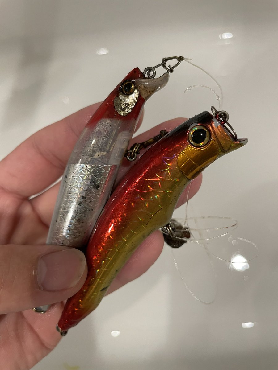 昨日の釣果はアジ1匹と15cmほどのハゼが20匹ほど、さらにルアー2個🐟
今日の晩ご飯は息子の好きな天ぷらにします🥰