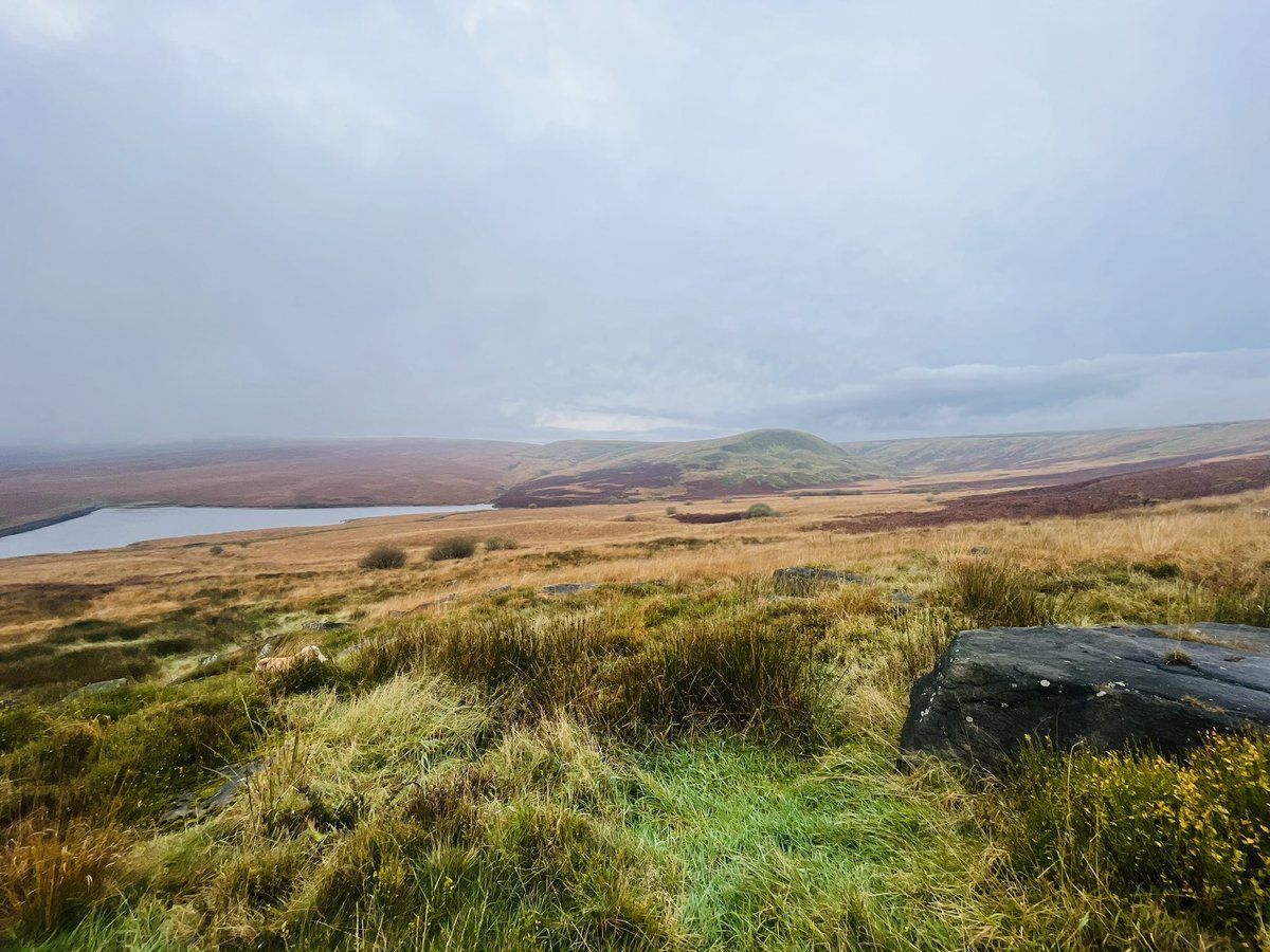 smith20013's tweet photo. The hills got the heart pumping a bit. #marsden #reswalks https://t.co/qdJaGuAhDX