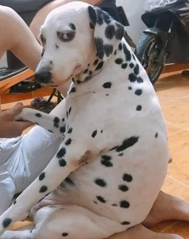 cuando están hablando de los ex's y dicen " pero nada supera lo que le hicieron a este wey"