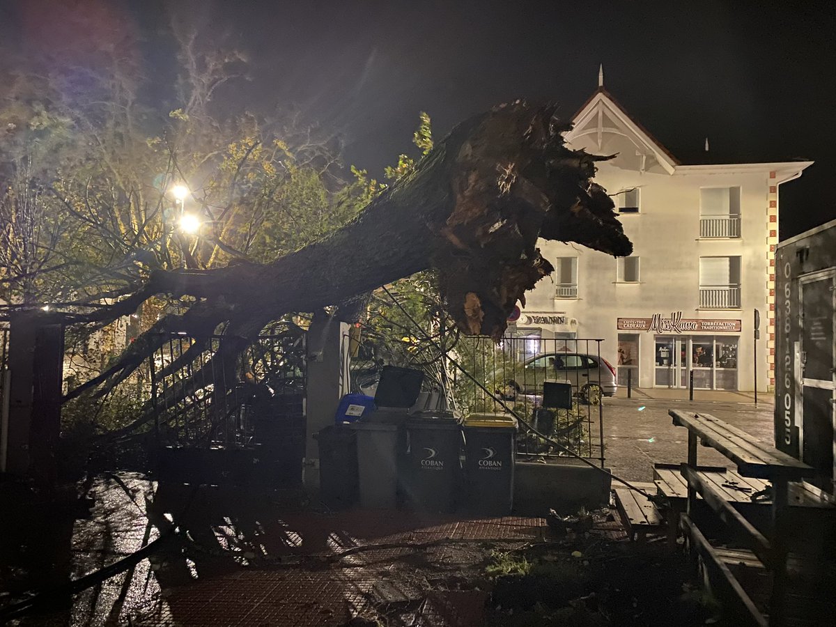 France 3 Aquitaine (@f3aquitaine) on Twitter photo #tempeteDomingos : des arbres déracinés comme ici à Andernos, records mensuels de vent tombés : 151 km/h au <a href="/capferret/">Lège-Cap Ferret</a> 122 km/h à #Bordeaux. 360 interventions des pompiers hier soir. Plus d’infos à venir sur le bilan. #tempeteDomingos : des arbres déracinés comme ici à Andernos, records mensuels de vent tombés : 151 km/h au <a href="/capferret/">Lège-Cap Ferret</a> 122 km/h à #Bordeaux. 360 interventions des pompiers hier soir. Plus d’infos à venir sur le bilan.