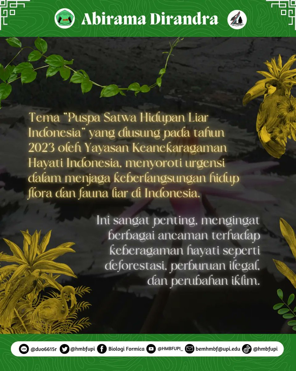 HMBF UPI tweet media