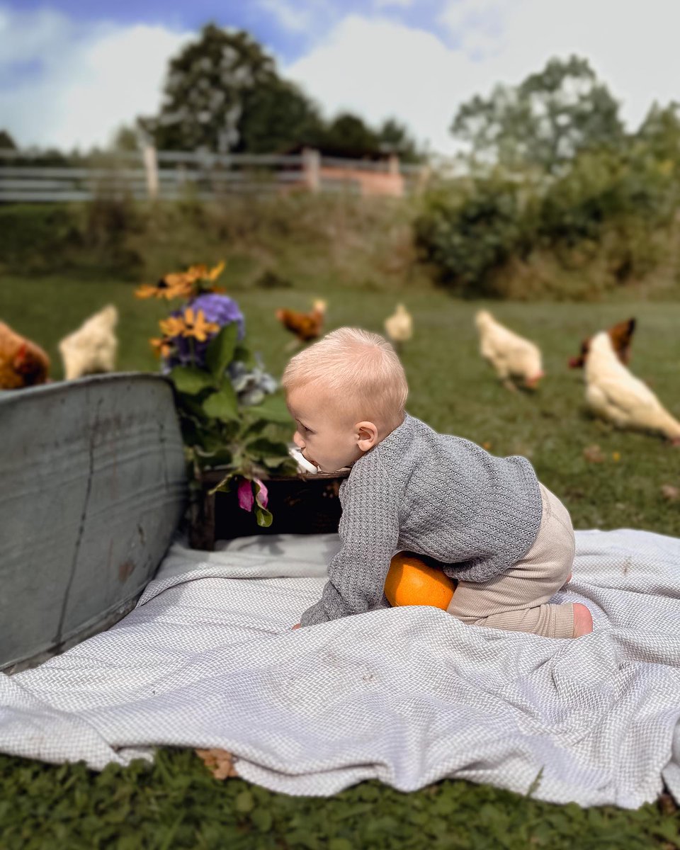 Chasing Autumn breezes!
.
heorshe.com
he or she #heorshe #babybottle #goodlooking #specialdesign #babymusthaves #sippycup #wristbandteether #ultrawideneckbabybottle #candidchildhood #honestmotherhood #happymama #thisismotherhood #motherhoodjourney #letthembelittle