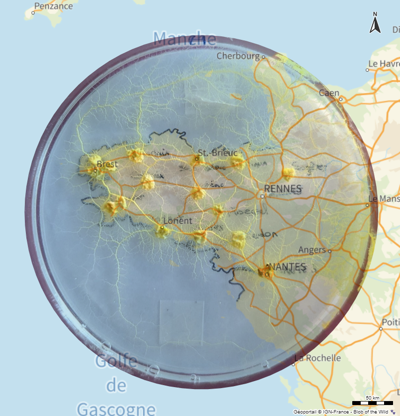 jmviglino's tweet photo. #30DayMapChallenge day 5: Analog map
π» Blob of the Map π‘ @WinnieCHMT made a little experiment with the #blob πΊοΈ I put it on the #map #shortpath π» #optimization πππ #cornflakes #sciences #Macarte
π§΅thread: https://t.co/NVMX4NOGbl
π online #mapβ‘οΈ https://t.co/qAR4c2aoDv https://t.co/oWdEuHKiJY