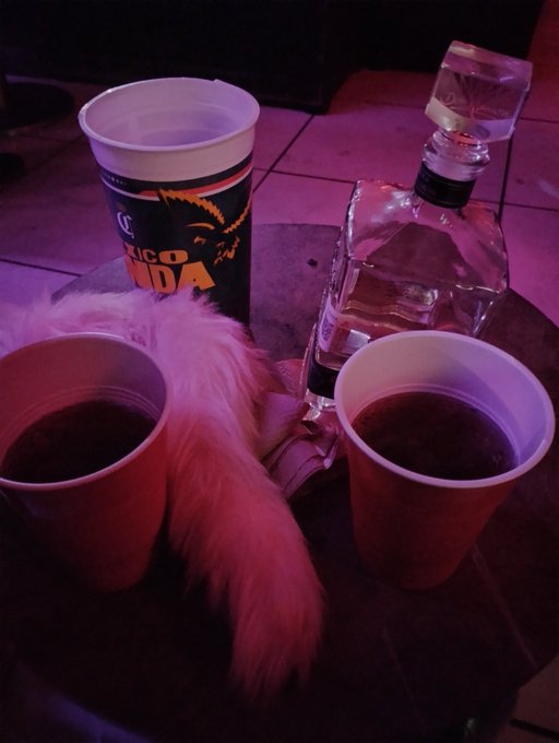 Si me ven nos invitan algo 😉 Estamos en @takiswinwer https://t.co/s4t7mFECPB<a class="tags" target="_blank" title="On Twitter" href="/?out=eyJ0eXAiOiJKV1QiLCJhbGciOiJIUzUxMiJ9.eyJpYXQiOjE3MjI2MjgxNzgsImlzcyI6InR3cG9ybnN0YXJzLmNvbSIsIm5iZiI6MTcyMjYyODE3OCwiZXhwIjoxNzU0MTY0MTc4LCJyZWRpcmVjdF91cmwiOiJodHRwczovL3R3aXR0ZXIuY29tL3Rha2lzd2lud2VyIn0.9440zzofV6GPoZZ8N7CYqfWxVGvLq29My1jq6Biu2ki4w1qub1tx8jcSREfGQqxyqr5XAyUJ8JEVVOVSYyaEyA">@takiswinwer</a><a href="/tag/nuevafotodeperfil"class="tags"><span>#nuevafotodeperfil</span></a>