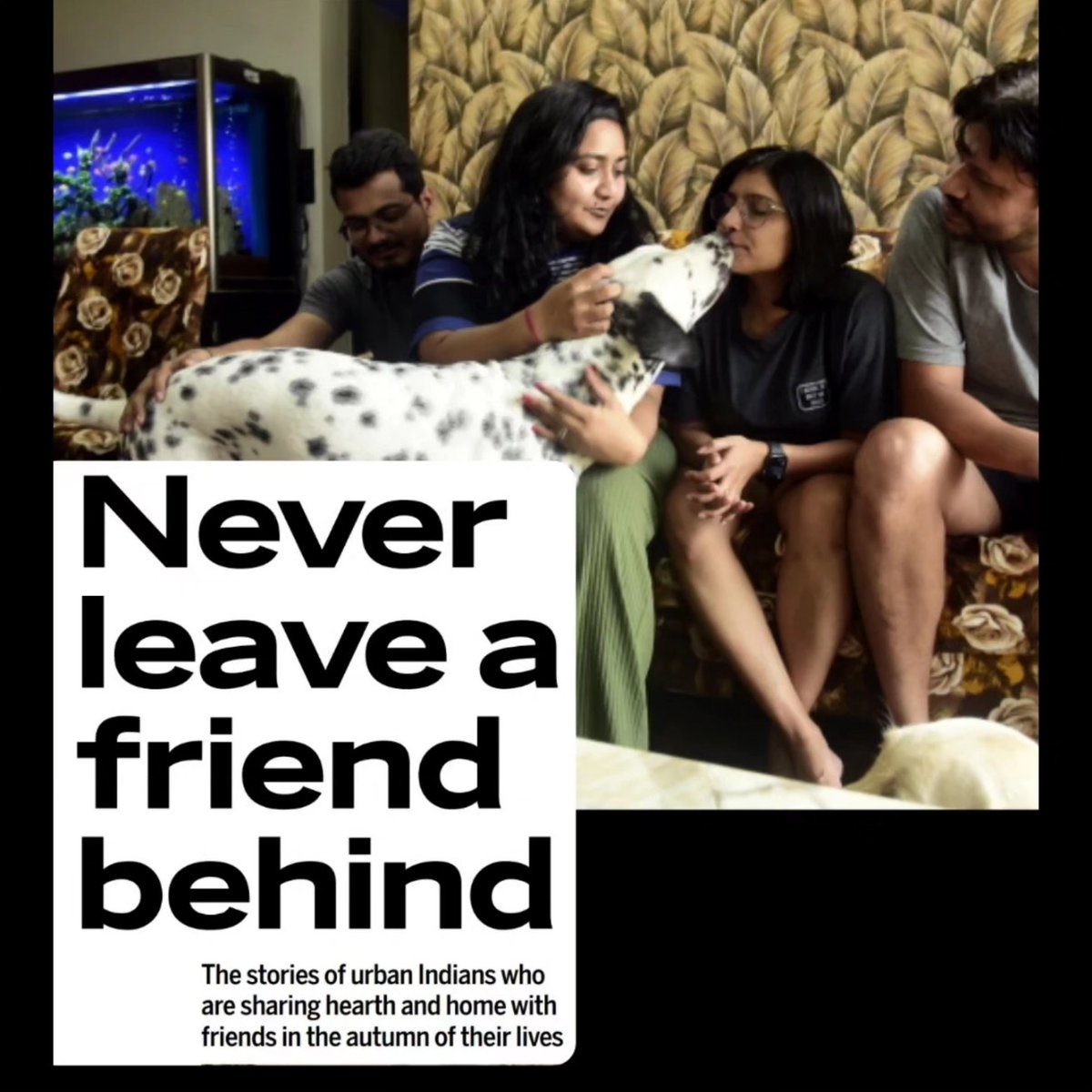 A few days ago, I looked for Indians who are choosing to spend their lives with friends, breaking away from the tradition of ageing with a spouse. Those who came forward were single or divorced, and lucky to have a network of friends they could rely on: mid-day.com/sunday-mid-day…