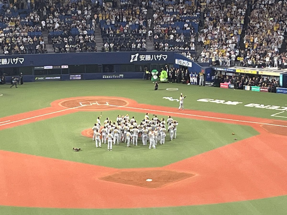 pcaaany's tweet photo. 現地よりとらほー！！！🐯
38年ぶりの日本一🇯🇵や！！！
本当に阪神タイガースは強い💪
これまで応援してきて良かった〜😭😭😭 https://t.co/9ASizHTnYj