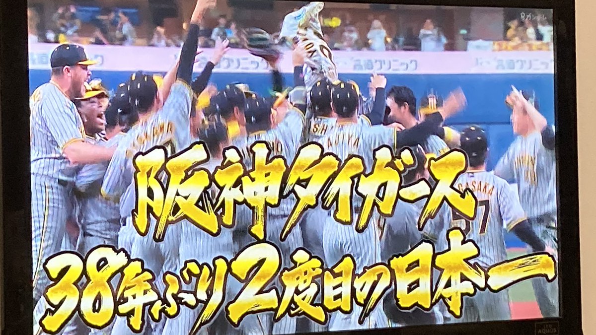 J.Oriol ウリ Guinovart tweet media