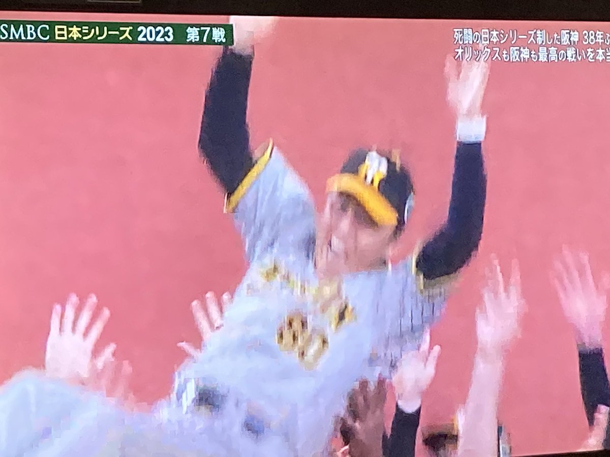 J.Oriol ウリ Guinovart tweet media