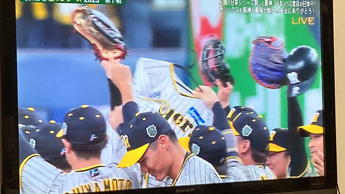 J.Oriol ウリ Guinovart tweet media