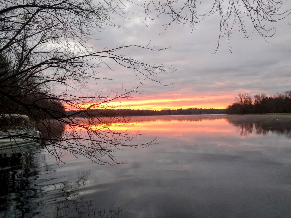 5novembre2023. Un peu de couleurs dans tout ce gris à Maniwaki. C'est -2,3°.