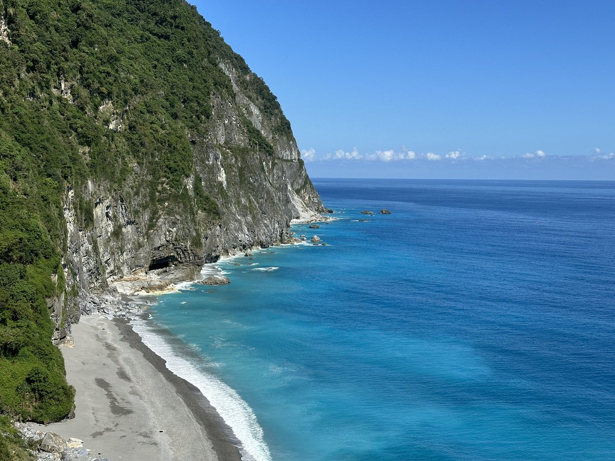 Emma Collins tweet media