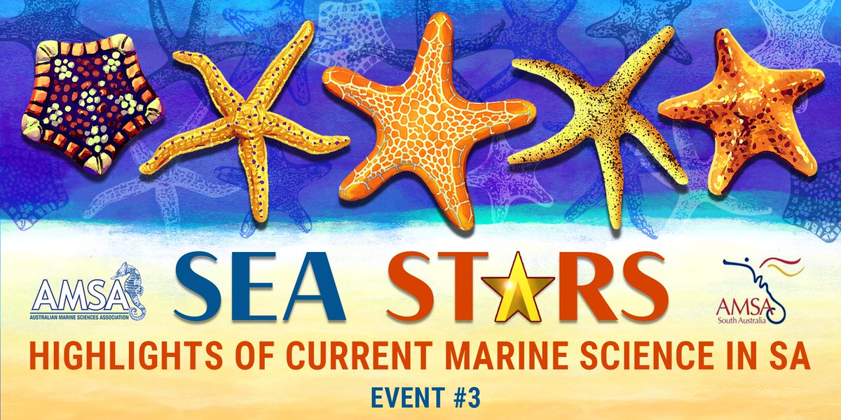 'Sea Stars' is back with its final event highlighting current marine science in South Australia 🌟 On the 1st December, join us at The University of Adelaide for talks by SA marine scientists & our end-of-year social mixer! Details: bit.ly/3QtdELv