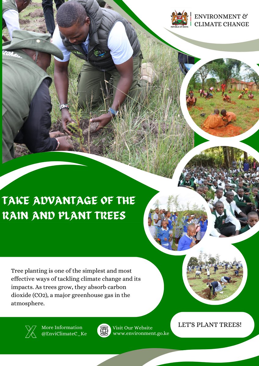 Tree planting is one of the simplest and most effective ways of tackling climate change and its impacts. As trees grow, they absorb carbon dioxide (CO2), a major greenhouse gas in the atmosphere #ClimateAction #Trees4Resilience #ShortRains #EcosystemRestoration #15BillionTrees