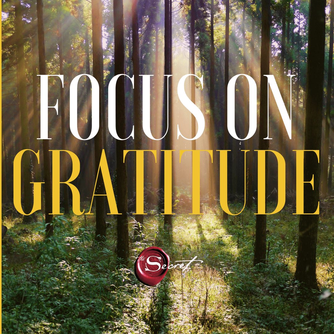 Focus on gratitude
"When you're grateful you're not focusing on you. It stops the misery of me." - Mastin Kipp
