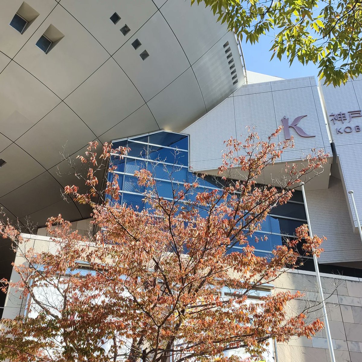 shiraim_tomo's tweet photo. どんだけ見ても色鉛筆で描いてるとは思えない！
写真にしか見えないものもたくさん。
描いてる動画を見ても超絶技巧すぎた✨
油性の色鉛筆とか削るやつとか、道具を旦那がさっそくポチってた😅
私はとりあえずガラスの仮面の塗り絵をがんばります😆
#超色鉛筆アート展 https://t.co/Q0RCS75XHy