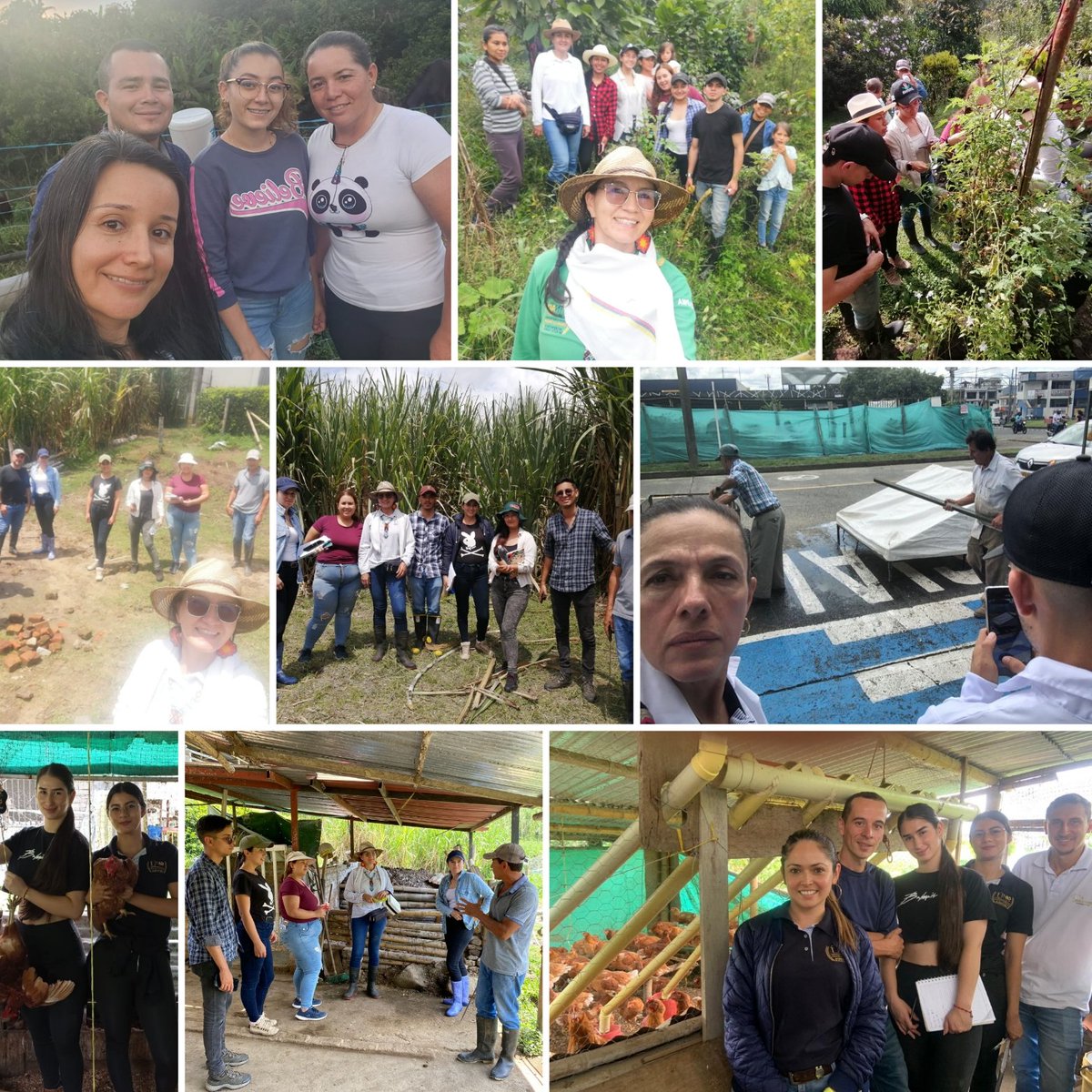 IngYulian's tweet photo. La #VidaAcadémica y #VidaUniversitaria se vive en el Centro de Innovación y Productividad #CIPBioDosquebradas de @UniversidadUNAD desde la acción #Educativa, #Investigativa, #Innovación, #Emprendimiento, #DesarrolloTecnológico y #Social. Somos #MásUNADMásEquidad, @JaimeLeal_ https://t.co/DOGEebZSvH