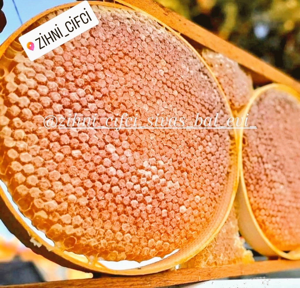 Sivasbalevi's tweet photo. #Karakovanbalı sevenler
Balı ve mumunu arıların kendi ürettiği baldır..
#ZİHNİÇİFÇİSİVASBALEVİ 📩📩
#sivas #SonDakika #beekeeping #honey #bee #nahl #flowerhoney
#polen #prapolis #perğa #arısütü #güçlübağışıklık #arıcı #balcı https://t.co/qAZZKZr6dT