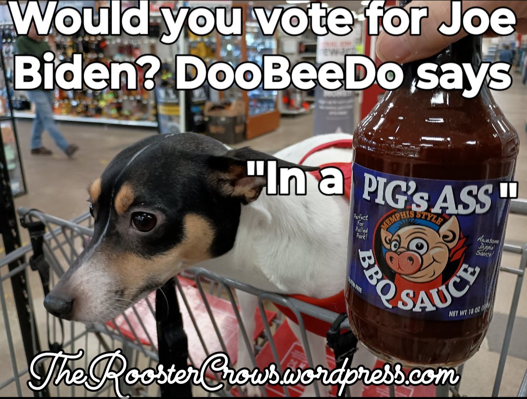 TheRoostercrow's tweet image. #Biden2024 #BidenWorstPresidentEver #votenoonjoe