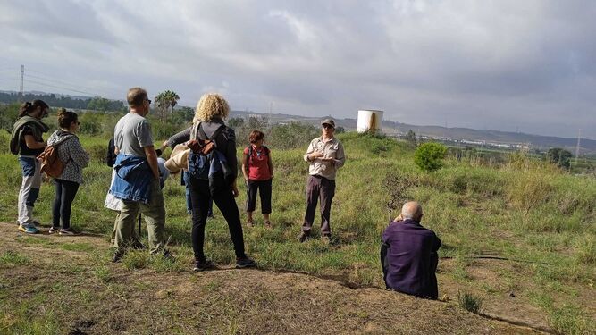 Conclusiones completas del Ciclo de jornadas celebrado sobre el #AnilloVerde de #Sevilla: 
✅Carácter metropolitano
✅Integrar la red hidrológica y de canales
✅Conectar parques
✅Mov. sostenible
✅Incorporar participación ciudadana
✅ Educ ambiental 👇
diariodesevilla.es/sevilla/Entida…