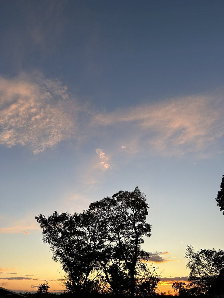 日本Streets tweet media