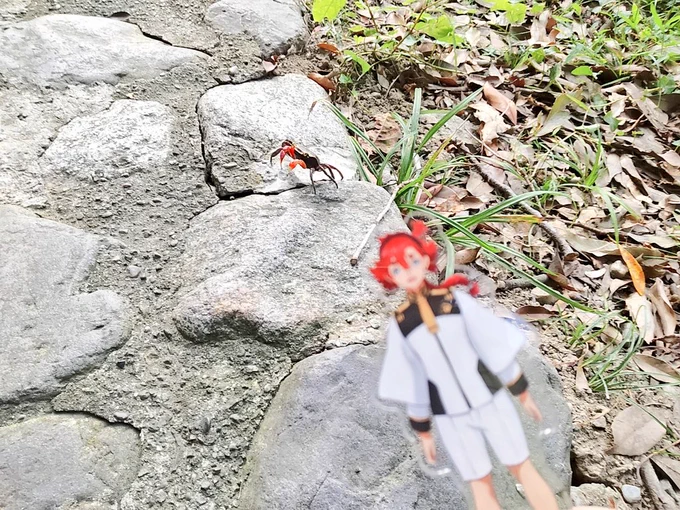 スレッタ、横切ってった 