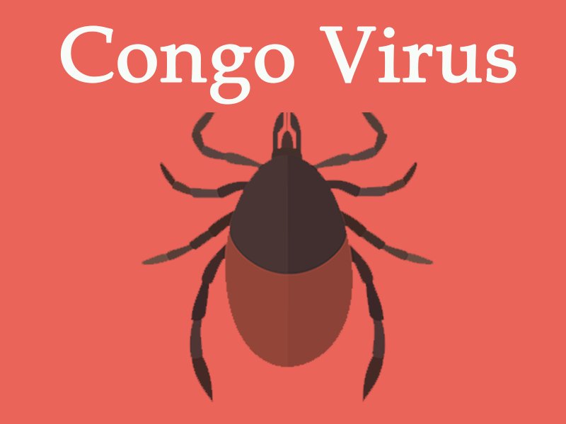 کوئٹہ میں کانگو وائرس کی ایک نئی قسم رپورٹ ہوئی ہے جو عام بخار نہیں بلکہ ایک جان لیوا وائرس ہے عوام الناس ہنگامی صورتحال کے علاؤہ معمول کے امراض کے لئے اسپتالوں میں جانے سے ممکنا گریز کریں ، اور احتیاطی تدابیر اختیار کریں